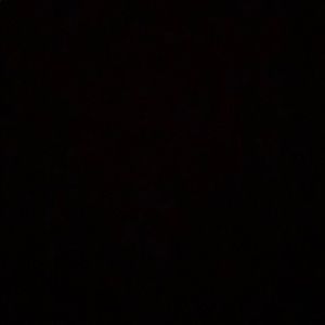 Meet your Posher, Jackson